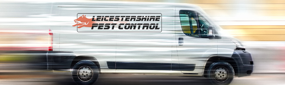 leicestershire pest control